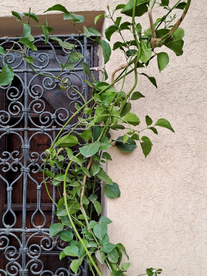 Riad Rime Garden Marrakech Lagouassem Luaran gambar